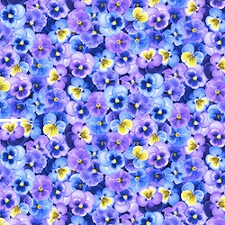 Purple - Wildflower